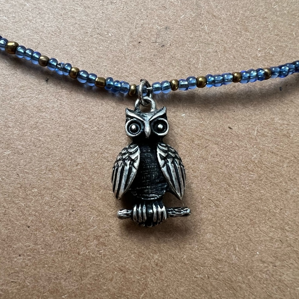 Coldwater Creek Silver Owl Pendant Necklace